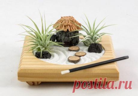 Miniature Zen Garden by Midnight Blossom - Made from Repurposed Pine, Featuring Living Air Plants and a Handmade Polymer Clay Hut