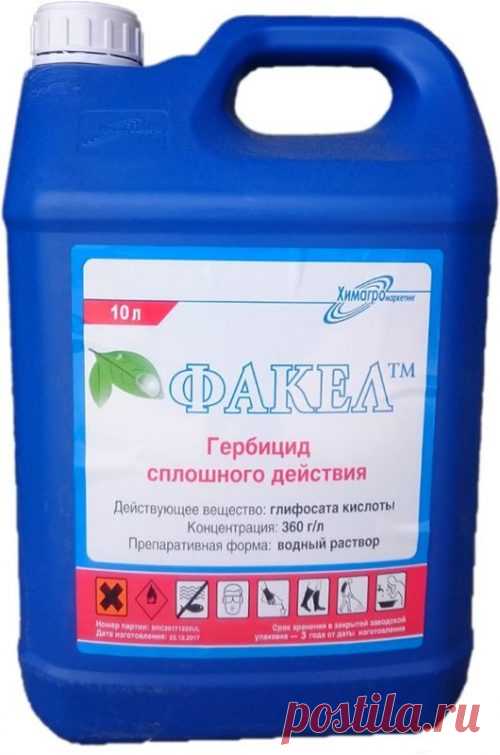 Чем обработать землю от сорняков осенью