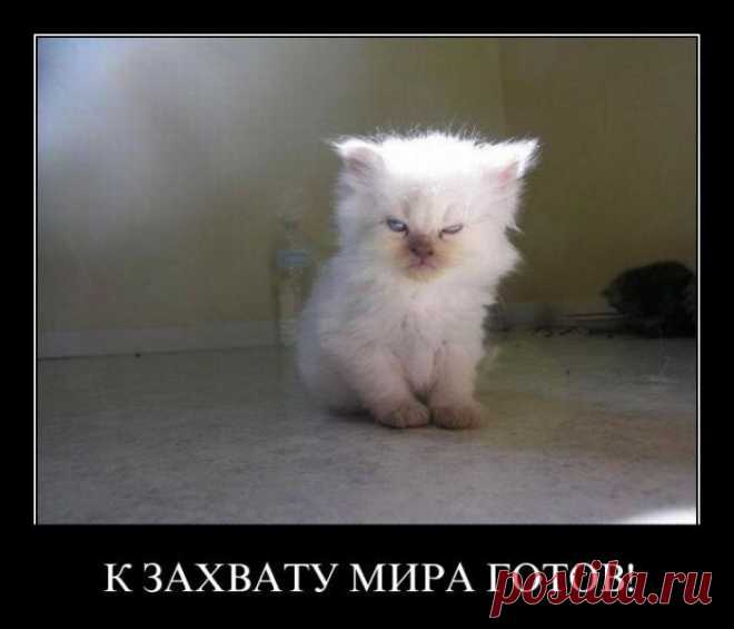 Создавай, пытайся, действуй, меняй свою жизнь к лучшему!
 Все те, кто в тебя не верил, потом будут тебе завидовать!
 Главное - это желание достигнуть своей цели!
 Присоединяйся