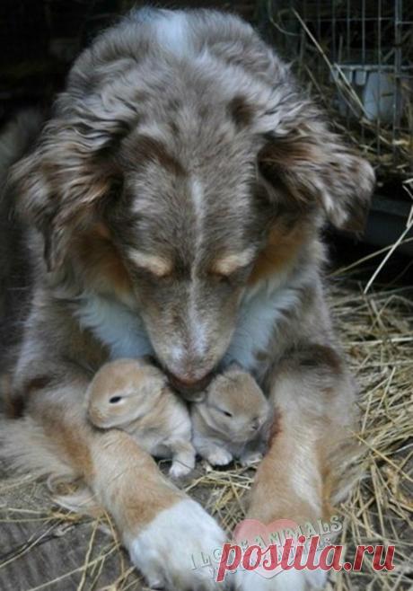 ТАМАРА КОЛИНЧЕНКО - Киев, Украина на Мой Мир@Mail.ru