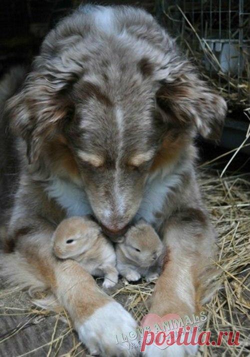 ТАМАРА КОЛИНЧЕНКО - Киев, Украина на Мой Мир@Mail.ru