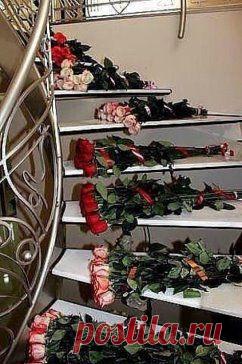 (55) Одноклассники