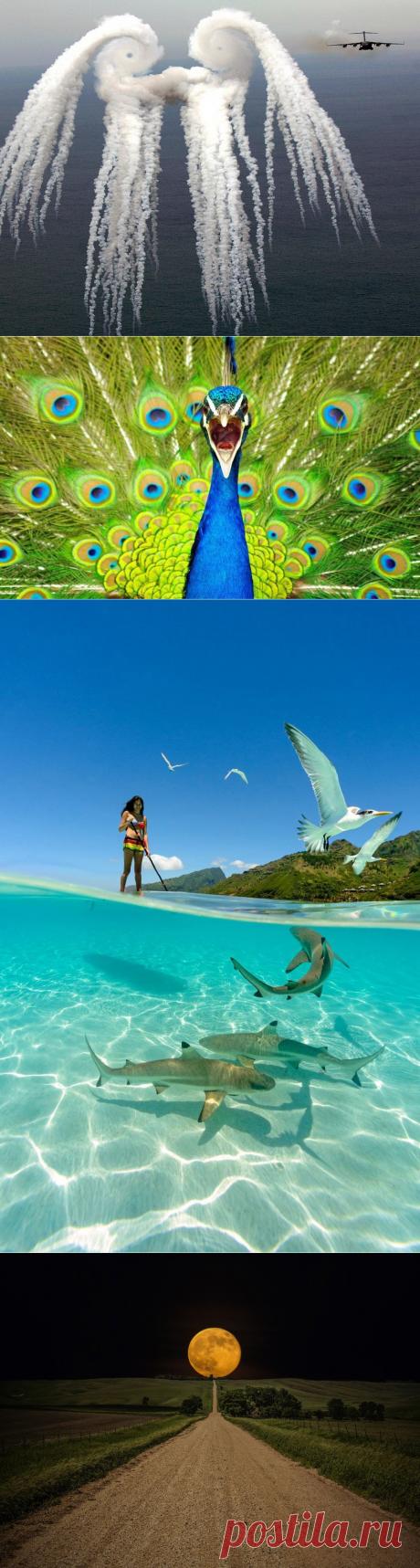 С добрым утром , друзья!!! 30 самых удивительных кадров из жизни планеты |