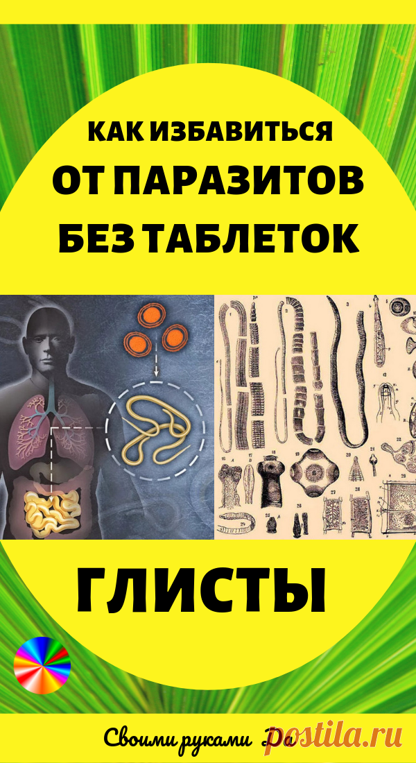 Глисты: Как избавиться от паразитов без таблеток народными средствами #глисты #паразиты #здоровье #лечение