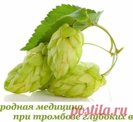 Хмель, каштан, яблоки и мед при тромбозе глубоких вен
