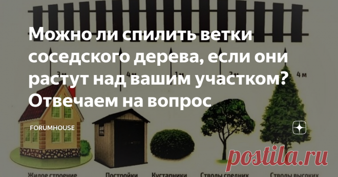 Можно ли спилить ветки соседского дерева, если они растут над вашим участком? Отвечаем на вопрос Соседские войны возникают по множеству причин и одна из них — это деревья, которые так и норовят раскинуть свои ветви на чужой участок. Они могут затенять территорию, а также «мусорить» плодами и листьями. Что делать в этом случае? Можно ли их спилить без спроса или нужно обращаться в суд? Об этом читайте далее. Не забудьте поставить лайк и подписаться на канал — у нас полезный контент!
Что