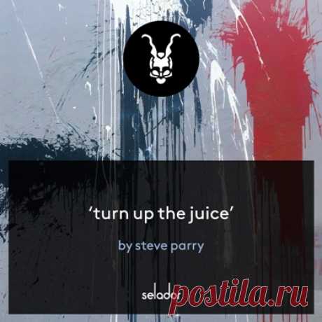 Steve Parry – Turn Up The Juice