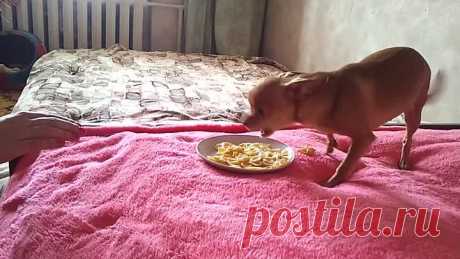 (50) Одноклассники