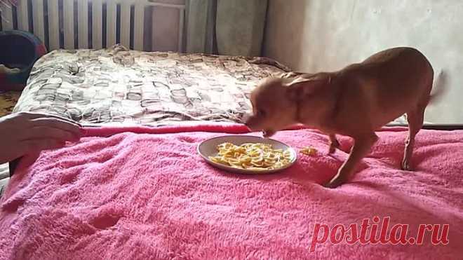 (50) Одноклассники