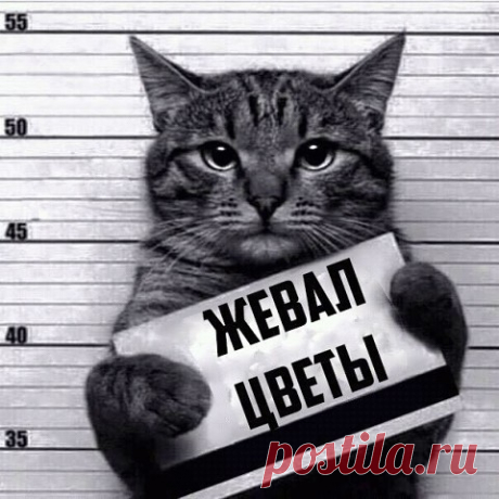 image (480×480)