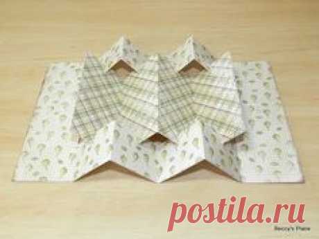 Concertina cards are fabulous display cards that have a concertinaed or fan-folded centre. They are constructed out of a few pieces of hea...