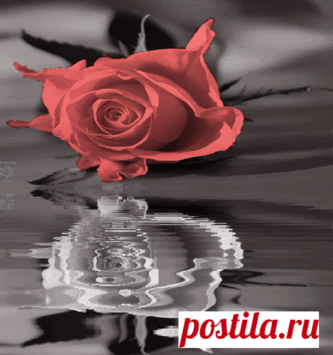 Friendster Archive: Rose Comment
