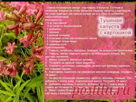 Рецепты - Тушеная капуста с картошкой