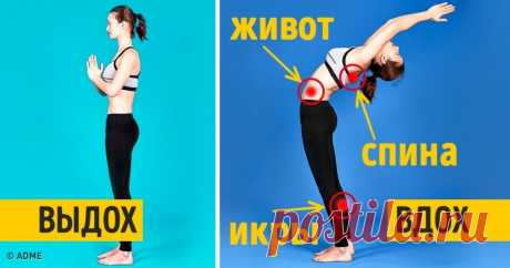 8 упражнений для тех, кто хочет заняться йогой, но не знает, с чего начать Каждая асана развивает разные мышцы, можно выбрать любую.