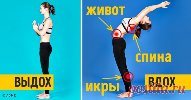8 упражнений для тех, кто хочет заняться йогой, но не знает, с чего начать Каждая асана развивает разные мышцы, можно выбрать любую.