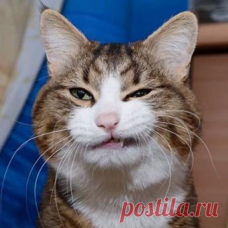 Когда эмоции зашкаливают