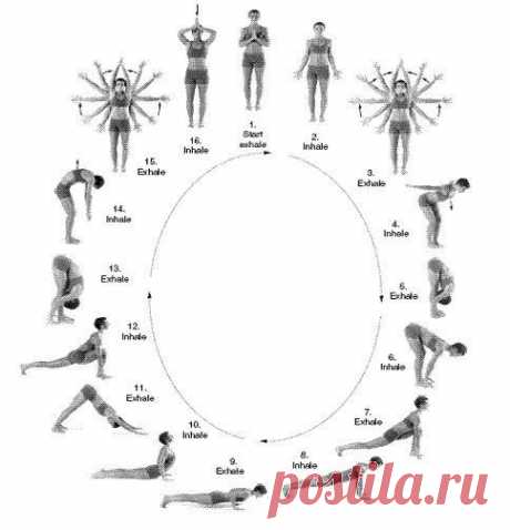 Йога | Yoga