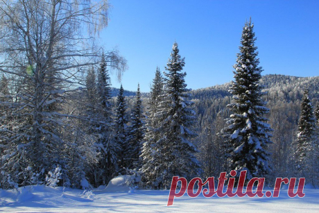 ФОТОМАСТЕРСКАЯ ПРИРОДЫ
Панов Александр