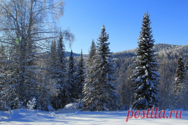 ФОТОМАСТЕРСКАЯ ПРИРОДЫ
Панов Александр