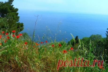 весенний Крым