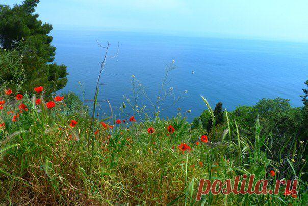 весенний Крым