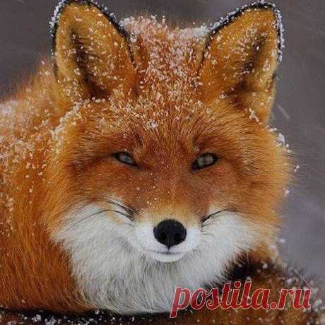 !Рыжая красотка