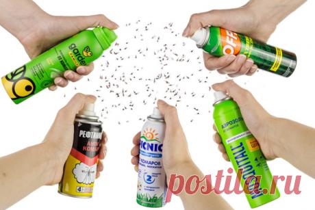 Комар носа не подточит: экспертиза репеллентов