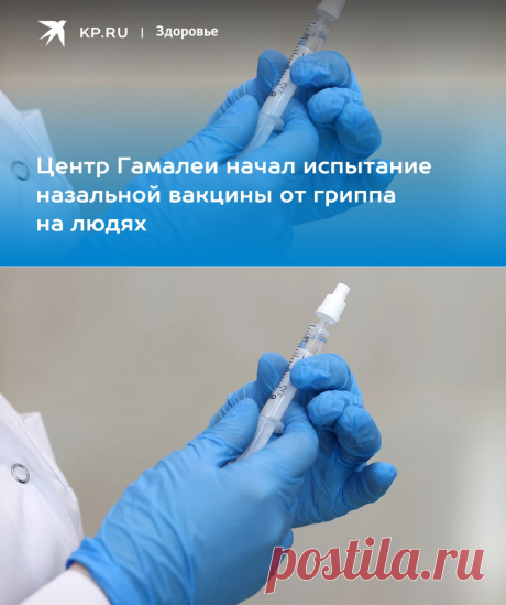 1-10-22-Центр Гамалеи начал испытание &quot;ГамФлюВак&quot;- НАЗАЛЬНОЙ ВАКЦИНЫ от гриппа на людях - KP.RU