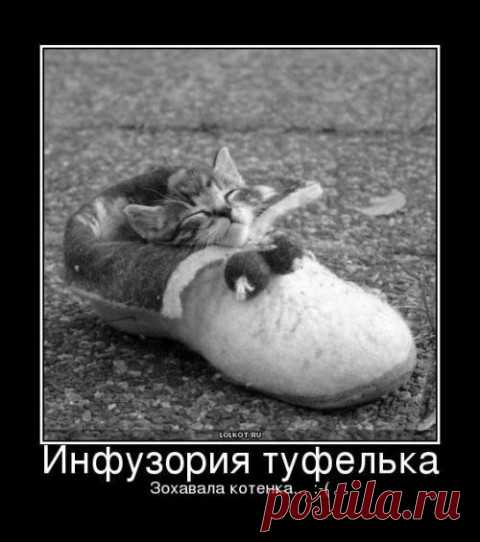 не шумите. не будите микробика...