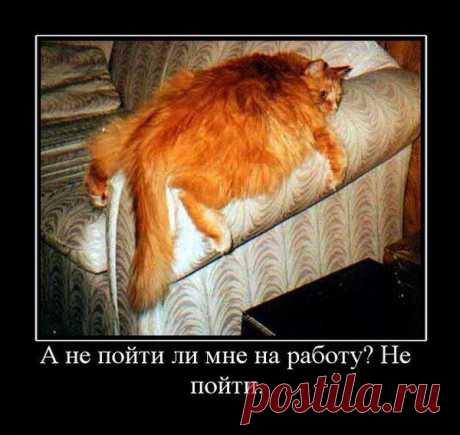 АНЕКДОТ ДЛЯ НАСТРОЕНИЯ...)))) | Давай поговорим