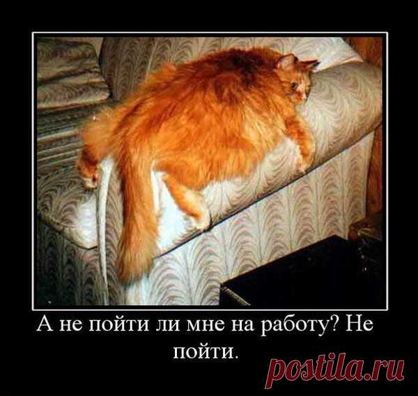 АНЕКДОТ ДЛЯ НАСТРОЕНИЯ...)))) | Давай поговорим