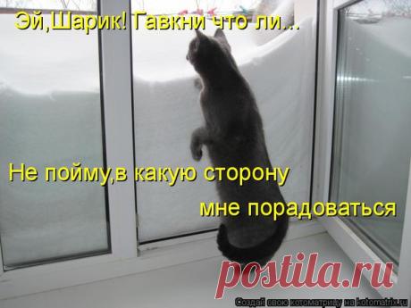 Котоматрица | ВКонтакте
