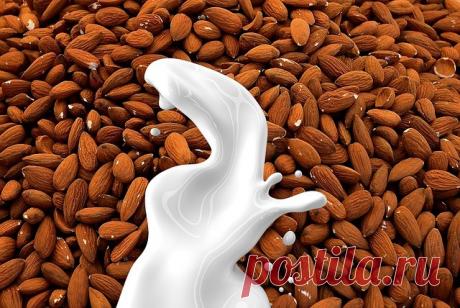 Миндальное молоко: помощь при гастрите, язве и холестерине | Журнал "JK" Джей Кей Миндальное молоко: полезное средство от гастрита, язв, холестерина и многого другого! Богато антиоксидантами. Достаточно одного стакана в день. Вот как его сделать дома...
