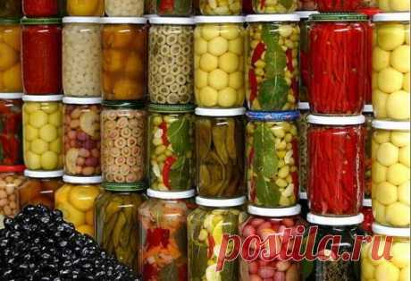 Каждый салат – хорошее дополнение к любому блюду из мяса, птицы или рыбы. 2-3 ложки салата, добавленного в суп, щи или борщ, изменят их вкус и придадут первым блюдам особую пикантность. В любом случае для каждой хозяйки хороший салат в зимнее время всегда будет палочкой-выручалочкой.