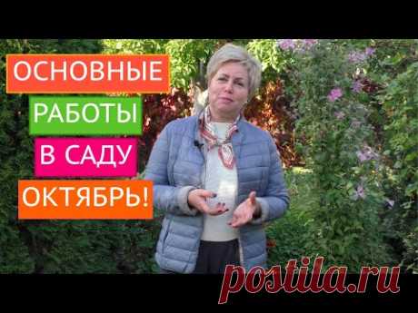ОСНОВНЫЕ РАБОТЫ В САДУ В ОКТЯБРЕ!!!