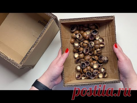 DIY Beautiful box made of cardboard and paper | Papier mache and macadamia nuts - YouTube