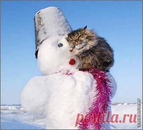 Мой Мир@Mail.Ru