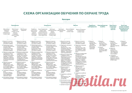 Как организовать обучение по охране труда сотрудников - Охрана труда. Премиальная версия