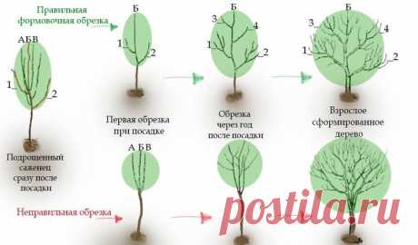 (12) Мой Мир@Mail.Ru