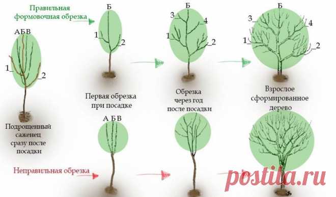 (12) Мой Мир@Mail.Ru