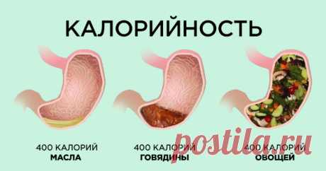 Кухонные весы как способ похудения