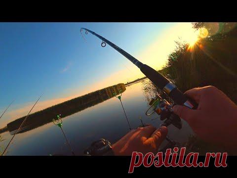 Рыбалка на красивой реке летом 2020 ОНА точно ПОТЕРЯЛА СТРАХ !!! - YouTube