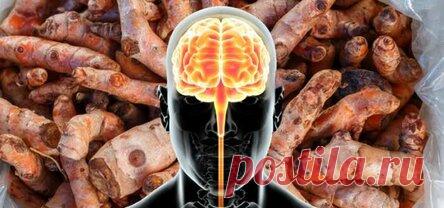 Вот как ваш мозг физически изменяется, когда вы потребляете куркуму!