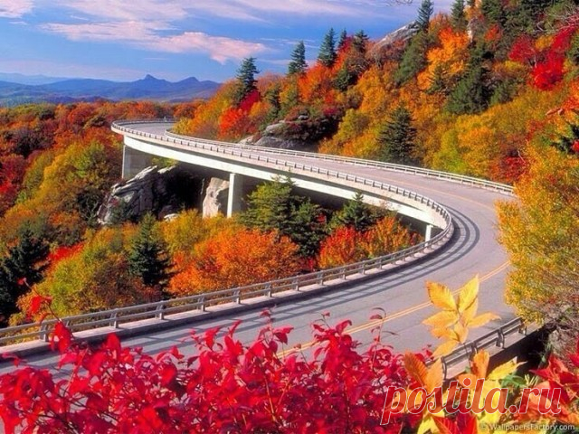 Листьев жёлтых, листьев красных, много в эти дни. посмотрите, как прекрасно выглядят они!