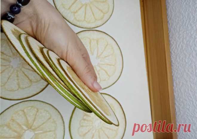 Сушеные плоские ломтики свити для заливки смолой купить