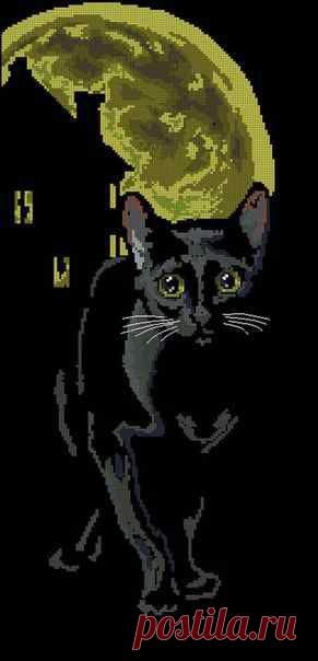 Черная кошка. Полнолуние