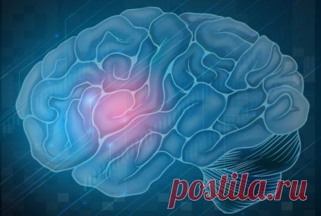 Мозг После Инсульта – Последствия Нарушения Кровообращения Каждый человек, страдающий от сердечно-сосудистых заболеваний, опасается инсульта. Опасения эти небезосновательны, ведь по статистике такое острое нарушение кровообращения занимает второе место среди заболеваний приводящих к смертности в России. Чтобы победить болезнь и не допустить рецидива, следует знать что представляет собой мозг после инсульта и какие осложнения вызывает нарушение кровообращения. Симптомы, соп...