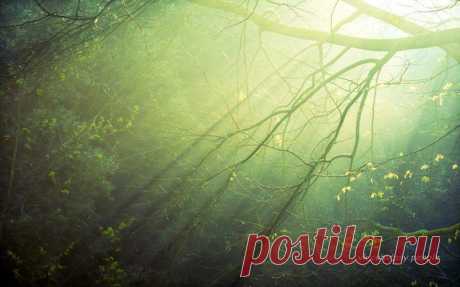 Фотографии на стене сообщества | 32 648 фотографий | ВКонтакте