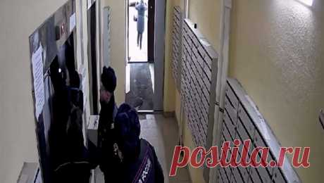 Опубликованы кадры спасения пассажиров из рухнувшего лифта в многоэтажке Петербурга. Опубликовано видео с места падения лифта в многоэтажном доме по Новгородскому проспекту в Шушарах, проводится проверка. Об этом сообщает пресс-служба прокуратуры Петербурга. Людей из рухнувшей кабины лифта в 27-этажном доме в Шушарах ...