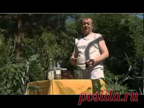 Рецепты очищения и укрепления сосудов народными средствами